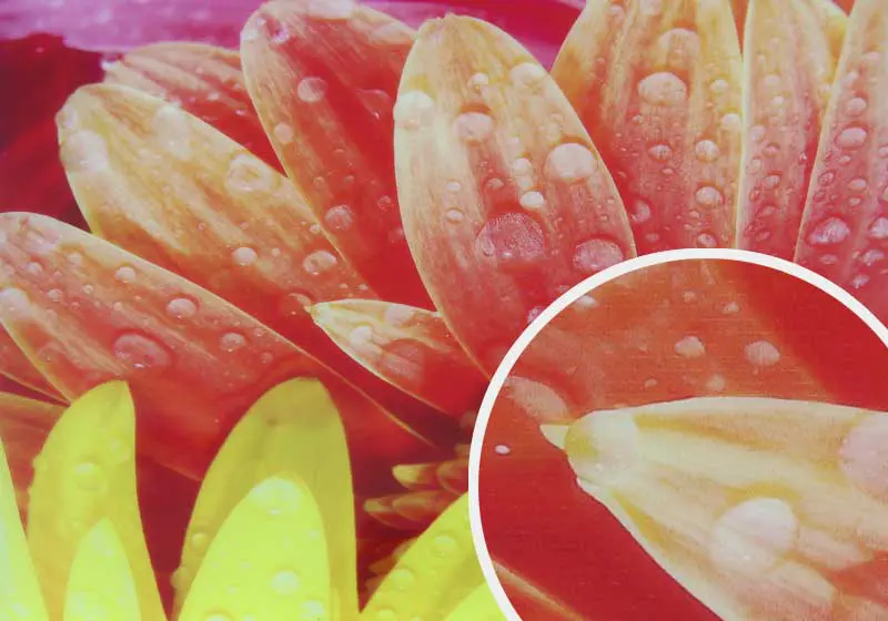 Backlit Film Gloss Ink-Jet Media