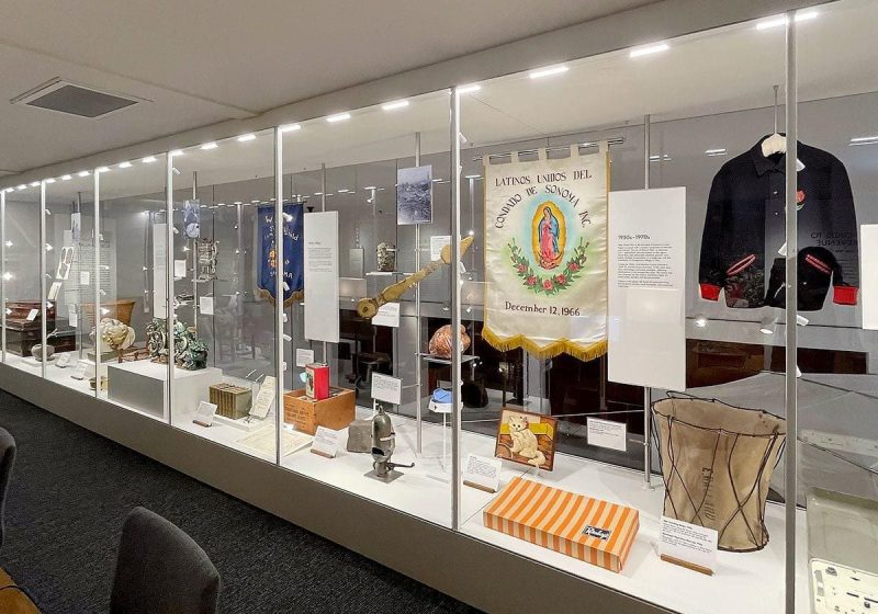D1014 — Cable Suspended Glass Showcase for Museum